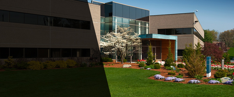 Bryn Mawr Landscapers